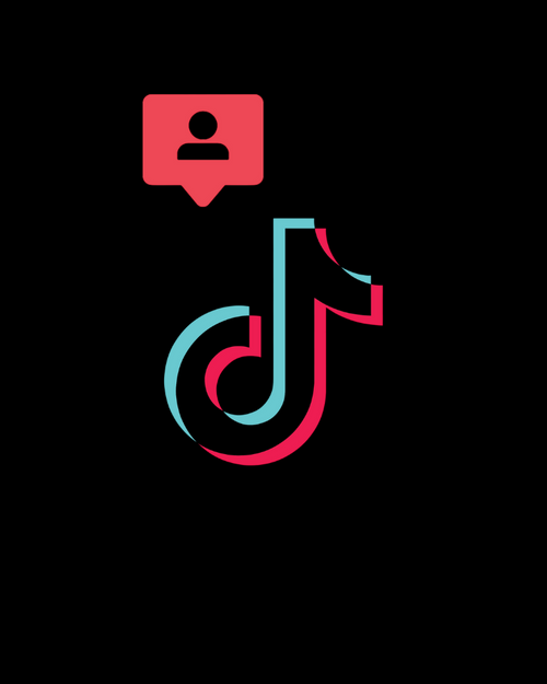 Abonnés TikTok